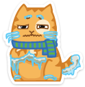 cat48 {cat48} {cat48}